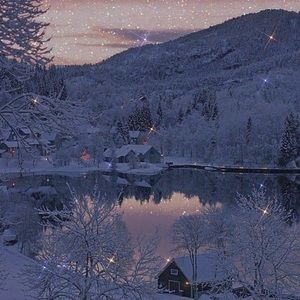 Meet your Posher, Ellen